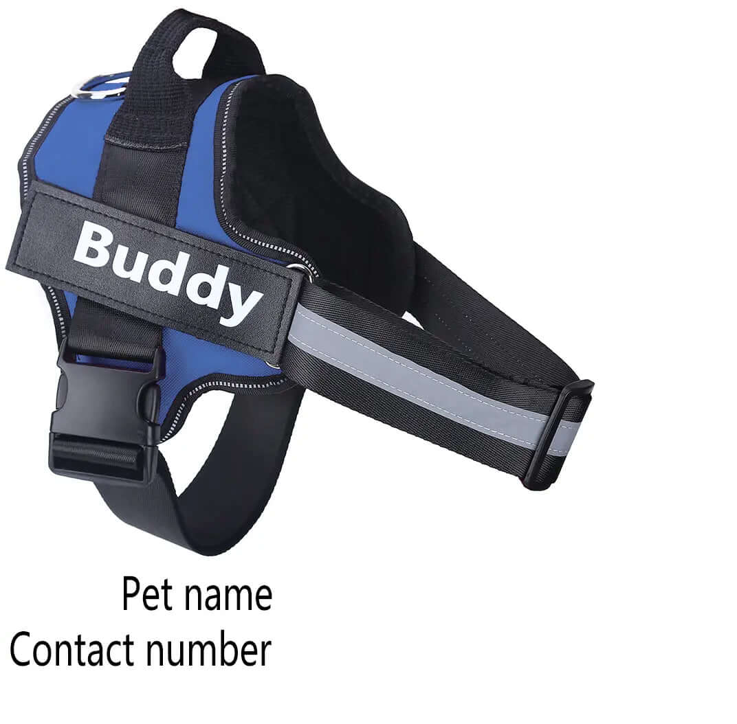 Personalisiertes Hundegeschirr NO PULL Weste für kleine große Hunde Heyang Industrial Co., Ltd