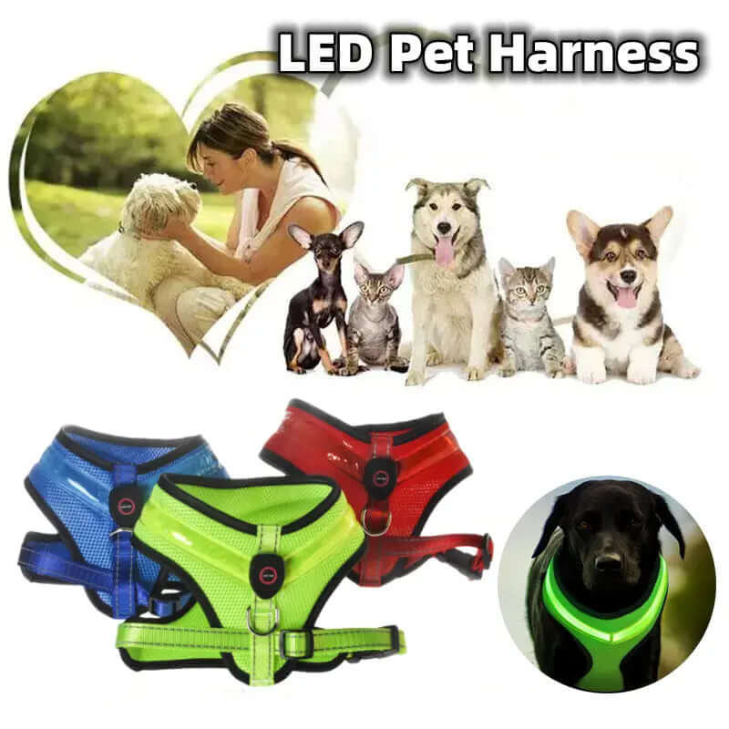 LED leuchtendes Hundegeschirr tip-shop